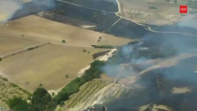 Declarado un incendio forestal en Casarrubios del Monte (Toledo)
