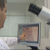 La sanidad madrileña incorpora un potente medicamento para luchar contra el cáncer de mama