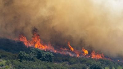 El incendio de Guadalajara avanza fuera de control, ya ha arrasado un perímetro de más de 120 kilómetros y amenaza a Soria