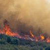 El incendio de Guadalajara avanza fuera de control, ya ha arrasado un perímetro de más de 120 kilómetros y amenaza a Soria