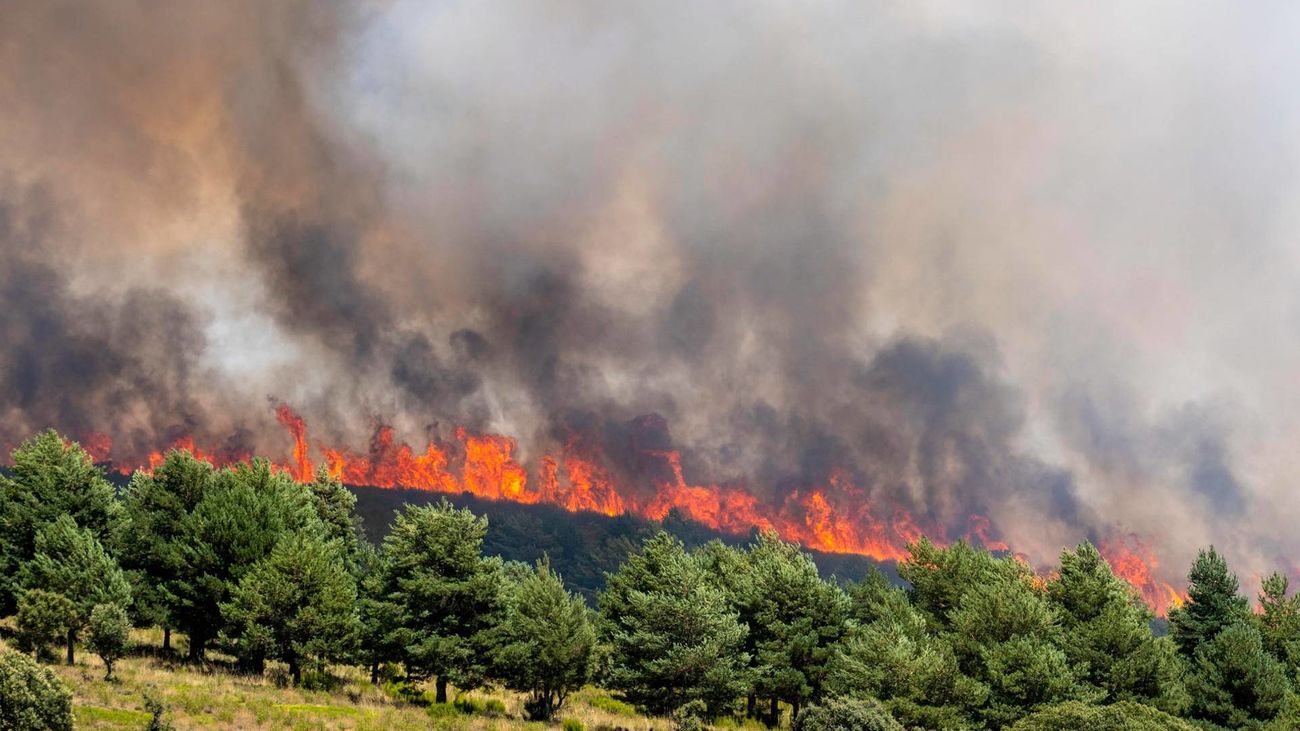 Los grandes incendios avanzan por España: el fuego de Guadalajara está fuera de control y ya amenaza Castilla y León