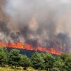 Los grandes incendios avanzan por España: el fuego de Guadalajara está fuera de control y ya amenaza Castilla y León