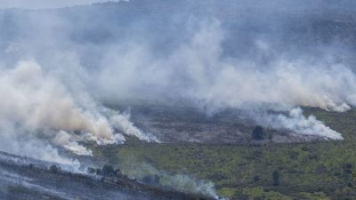 El incendio de Guadalajara frena su avance a Soria y se empieza a ver "la luz más allá del humo"