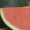 La fruta más refrescante del verano: beneficios y curiosidades de la sandía