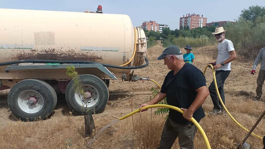 Vecinos de Madrid desafían la ola de calor para regar el bosque que han creado