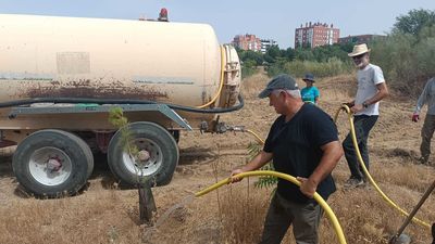 Vecinos de Madrid desafían la ola de calor para regar el bosque que han creado