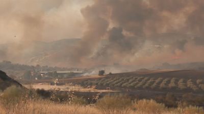 Ayuso pide declarar emergencia de interés nacional por los incendios en la Comunidad de Madrid