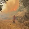 Lo peor de los incendios en las dos Castillas, Huelva y Badajoz