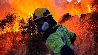 DIRECTO |  Declarada emergencia nacional en Madrid por la gravedad de los incendios forestales
