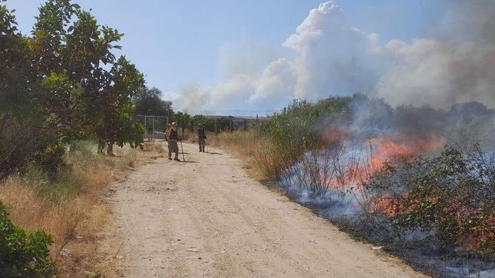 El fuego de uno de los incendios que afecta a la  Comunidad de Madrid
