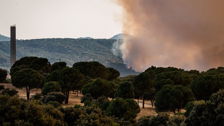 Incendio forestal en San Martín de Valdeiglesias