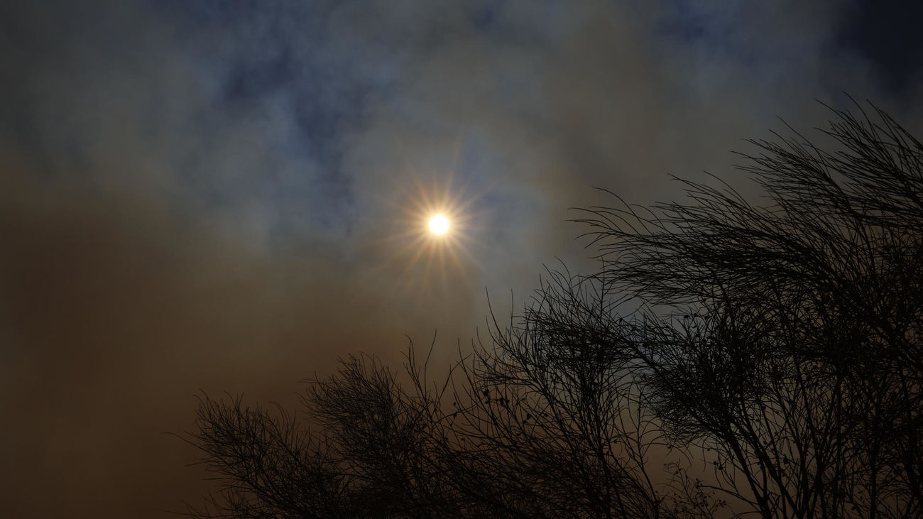 Columna de humo del incendio de Pelayos de la Presa, Sierra Oeste de la Comunidad de Madrid