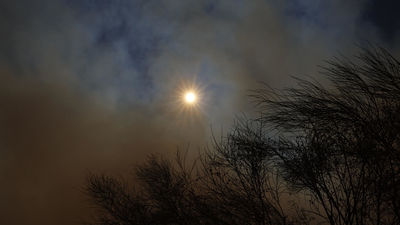 Empeora la calidad del aire en Madrid a causa de los incendios forestales