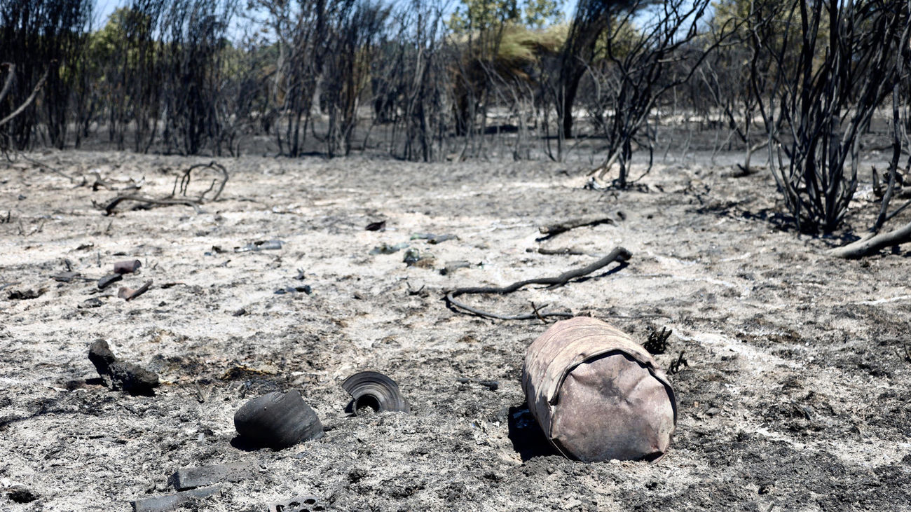 Terreno forestal tras el incendio del 22 de julio de 2026 en el municipio de Rábano de Aliste (Zamora)