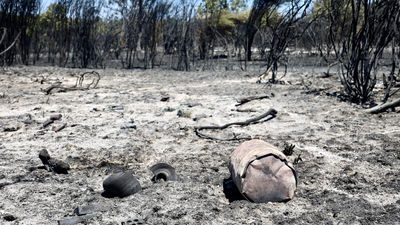 Ruben Laina (UPM): "La inversión en prevenir incendios es ridículamente pequeña"