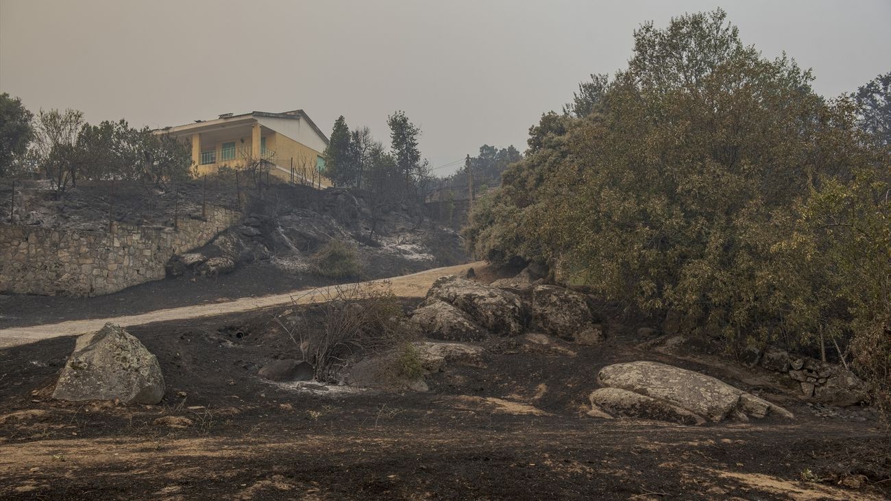 Zona quemada en El Tiemblo por el incendio de Ávila