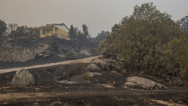 Zona quemada en El Tiemblo / EUROPA PRESS