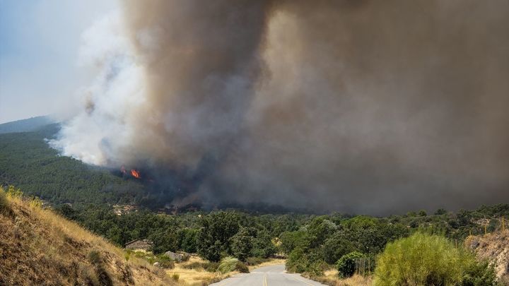 Una carretera vacía por el fuego en Ávila / EFE