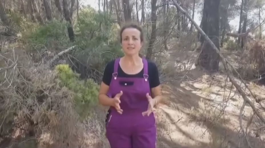 Leña y restos vegetales, la gasolina para los incendios