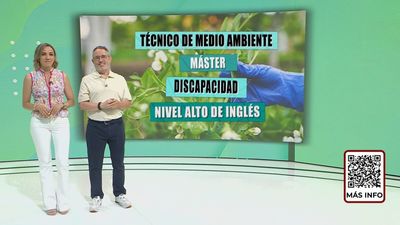 Ofertas de empleo de Madrid Trabaja 25.07.2026