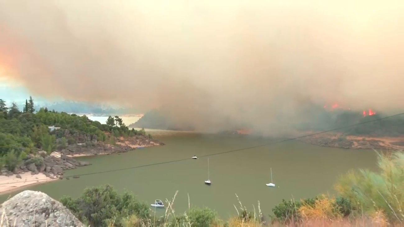 El decano de los Ingenieros de Montes advierte que los incendios de Madrid y Ávila están fuera de la capacidad de extinción