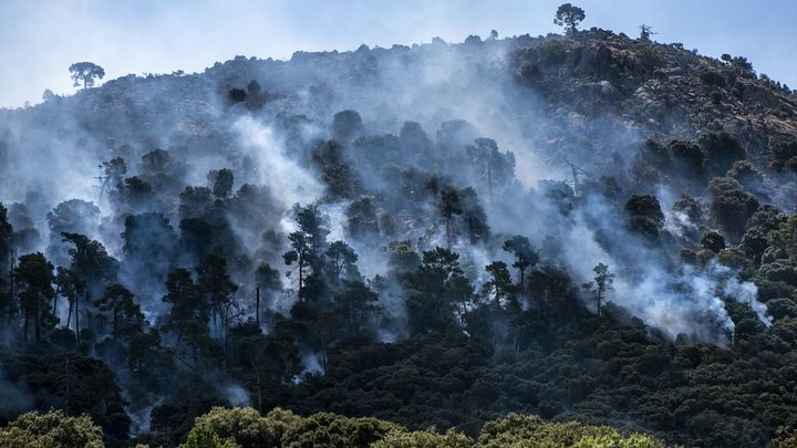 Incendio a su paso por Robledo de Chavela