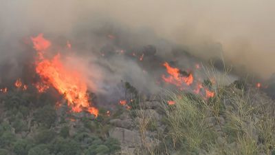 La vegetación seca, el combustible del incendio de Madrid, según los expertos