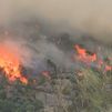 La vegetación seca, el combustible del incendio de Madrid, según los expertos