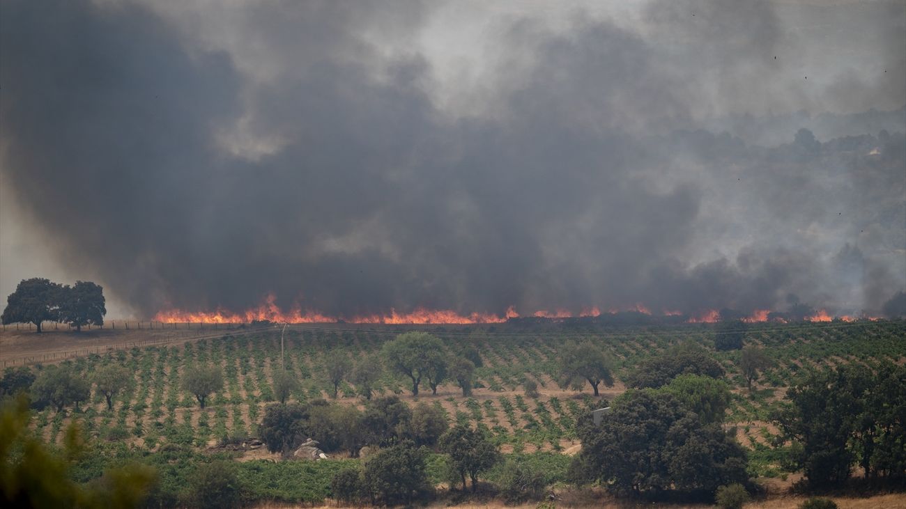 Los vecinos de San Martín de Valdeiglesias se solidarizan y luchan contra el incendio