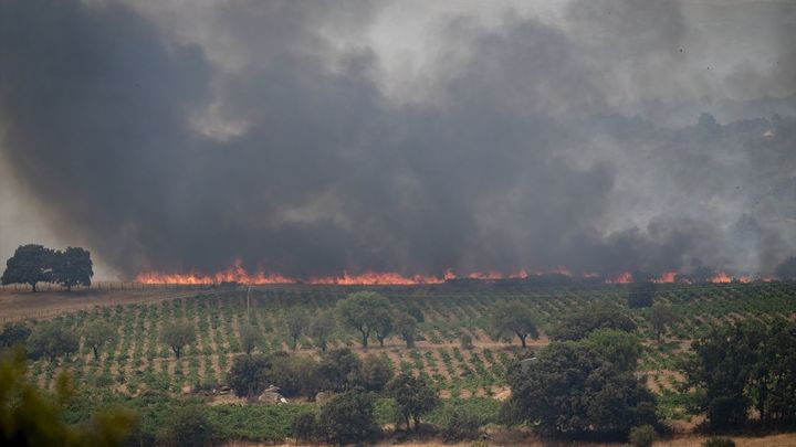 Los vecinos de San Martín de Valdeiglesias se solidarizan y luchan contra el incendio