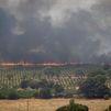 Los vecinos de San Martín de Valdeiglesias se solidarizan y luchan contra el incendio