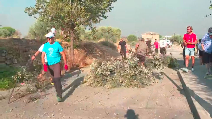 Vecinos de San Martín de Valdeiglesias limpian la zona de olivares / REDACCIÓN