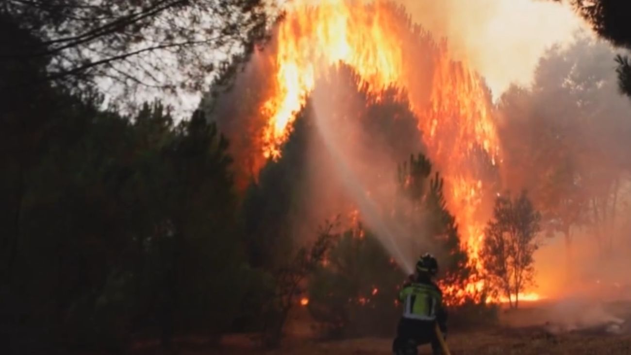 DIRECTO |  Los incendios de Madrid y Ávila siguen fuera de control