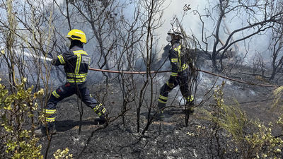 Contra el "incendio perfecto": Madrid, Ávila y Toledo siguen luchando sin descanso contra el fuego