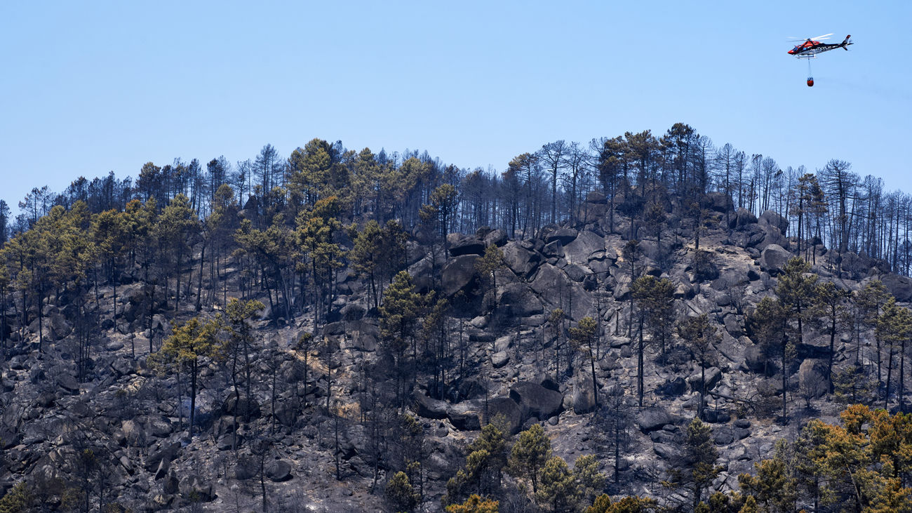 El fuego en el valle de Iruelas mejora, pero mantiene en alerta a Ávila y la frontera con Madrid