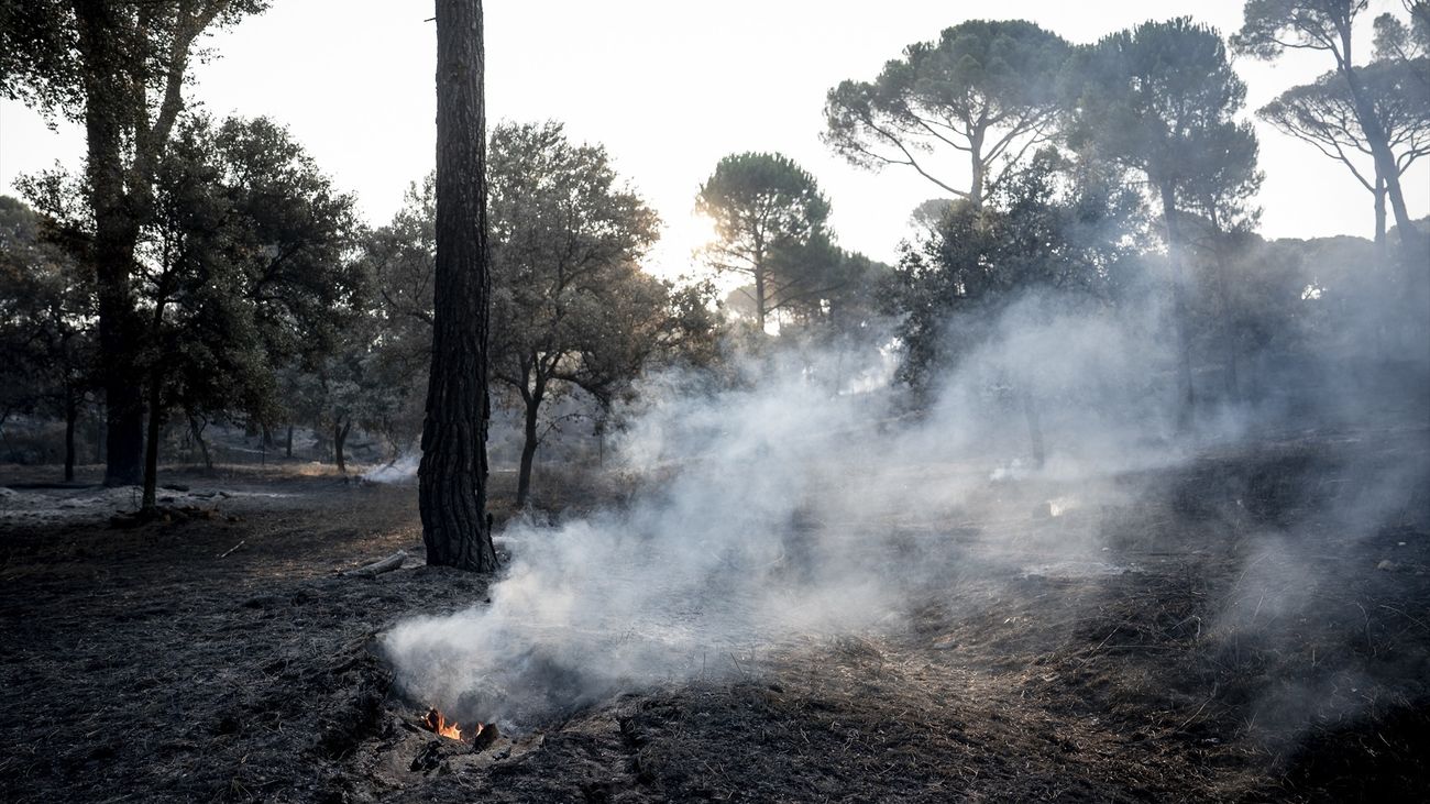 El incendio alcanza Cadalso de los Vidrios