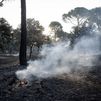 El incendio alcanza Cadalso de los Vidrios