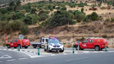 La Comunidad anuncia un Plan de Recuperación de más de 100 kilómetros de carreteras afectadas por los incendios