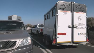 Así evacúan los ganaderos a los animales atrapados por el fuego en Fresnedilla: "Hemos sacado a 50 animales"