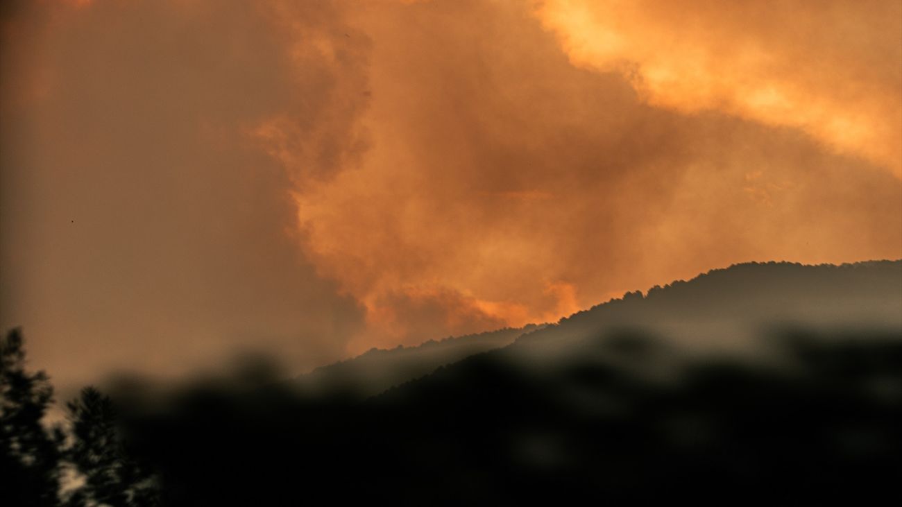 Los ingenieros de montes alertan de que una buena gestión forestal evitaría incendios como el de la Sierra Oeste