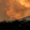 Los ingenieros de montes alertan de que una buena gestión forestal evitaría incendios como el de la Sierra Oeste