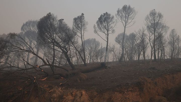 Balance del incendio de la Sierra Oeste: 28.000 hectáreas quemadas, 11 municipios evacuados, más de 55.000 evacuados