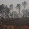 Balance del incendio de la Sierra Oeste: 28.000 hectáreas quemadas, 11 municipios evacuados, más de 55.000 evacuados