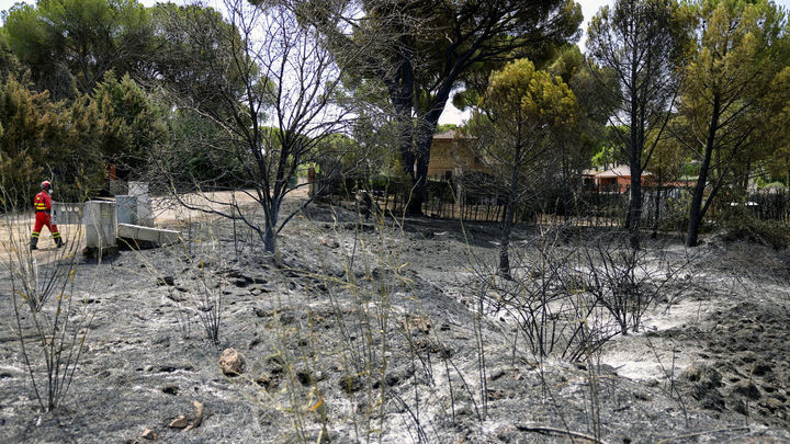 Miembros de la UME en la urbanización El Romillo del municipio toledano de Almorox / EFE