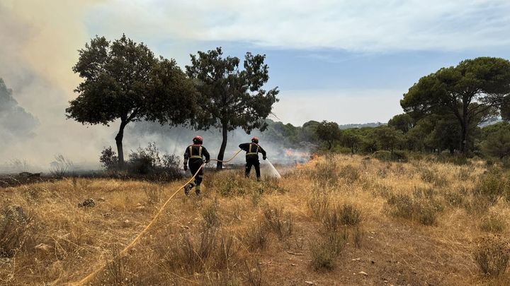Bomberos en la extinción del incendio de la sierra oeste / TELEMADRID