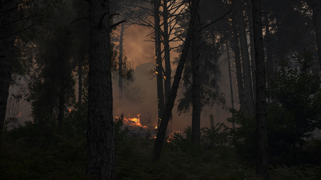 España eleva a 172.400 hectáreas de superficie quemada por los incendios