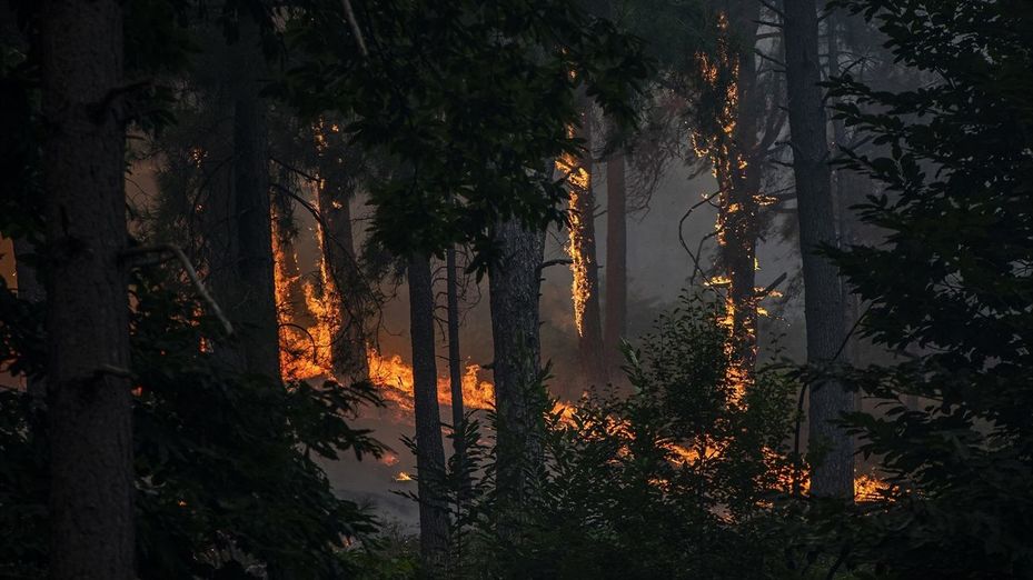 AEMET alerta de riesgo muy alto de incendios por calor extremo en casi toda España y no descarta una nueva ola de calor