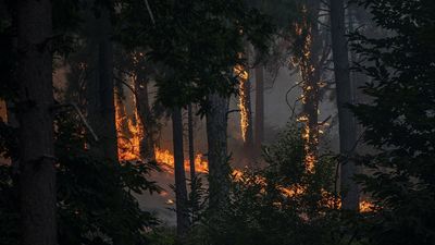 AEMET alerta de riesgo muy alto de incendios por calor extremo en casi toda España y no descarta una nueva ola de calor