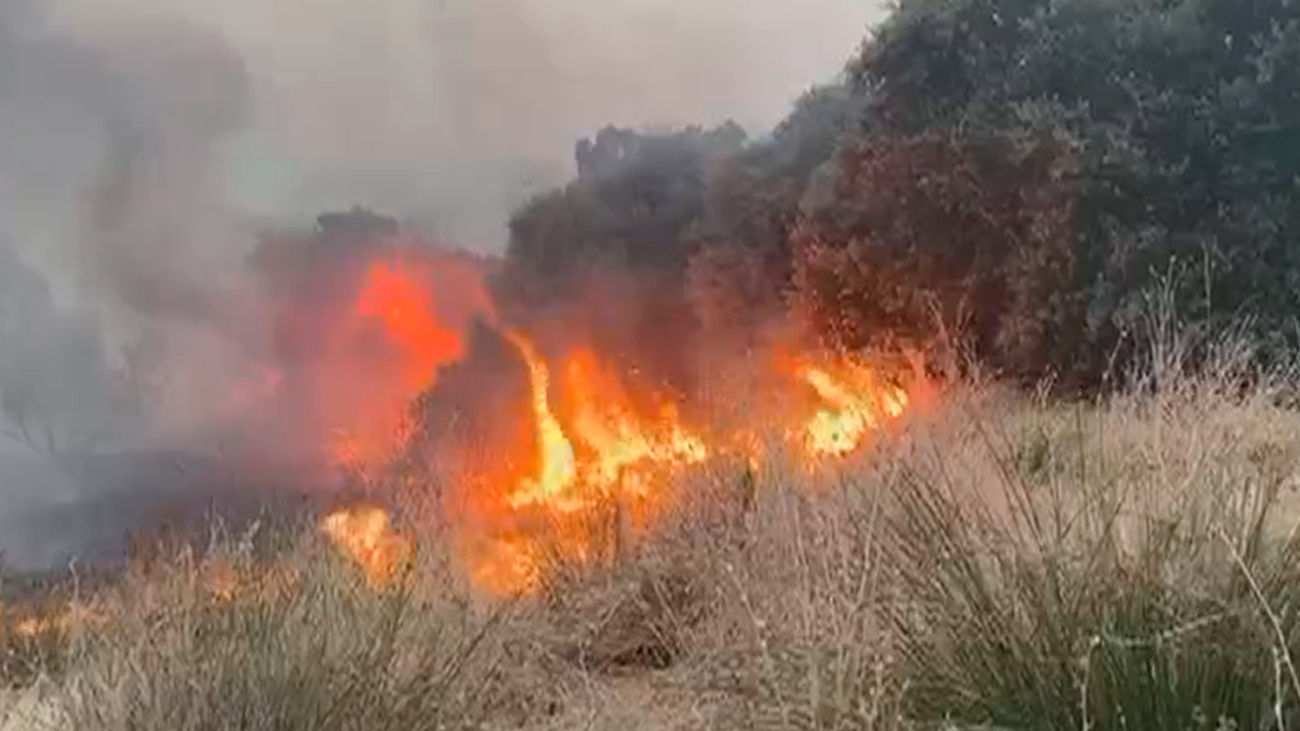 El debate político en torno a la manera de luchar contra los incendios