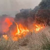 El debate político en torno a la manera de luchar contra los incendios
